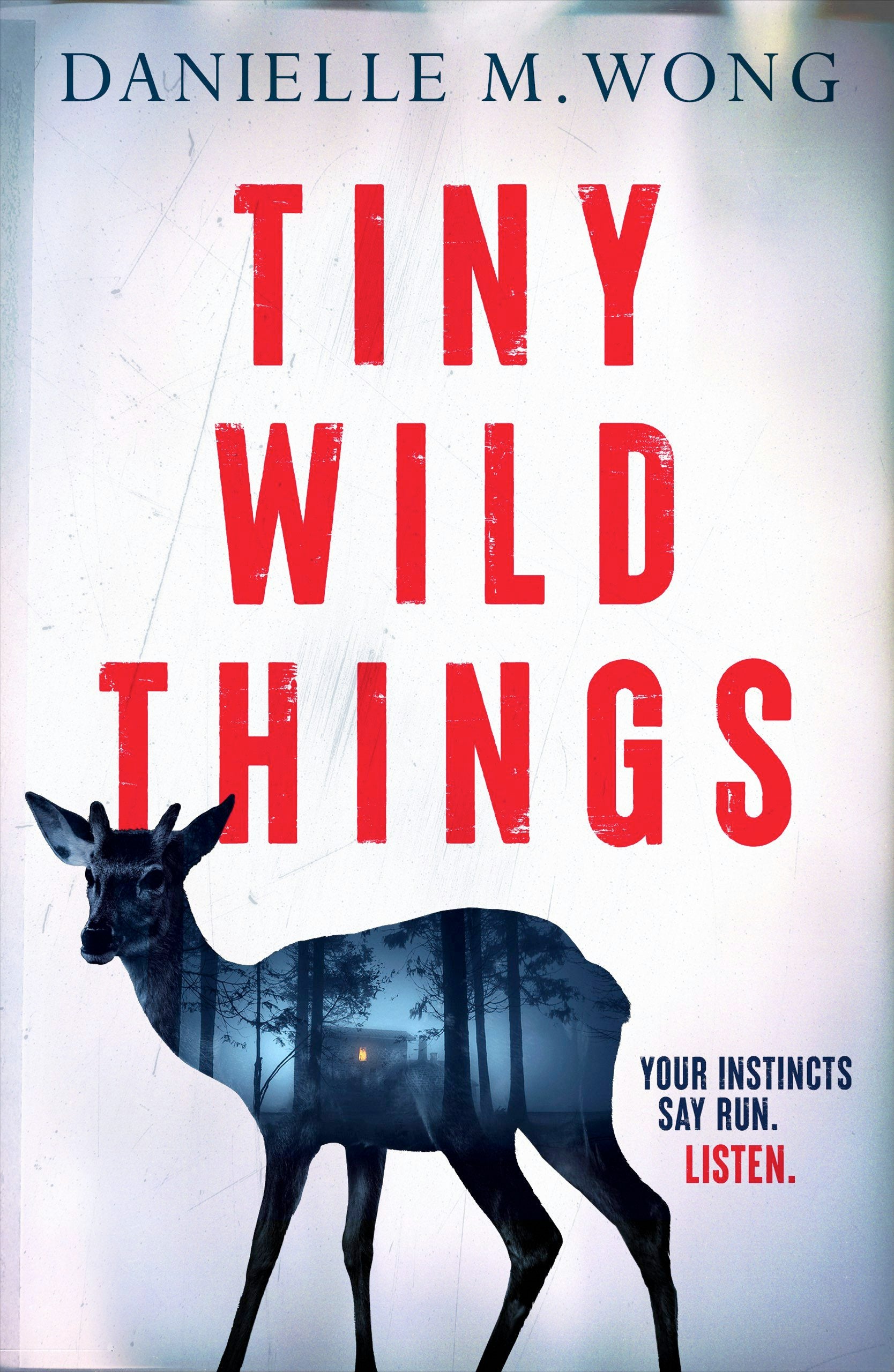 Book cover image for Tiny Wild Things ISBN: 9781837000807
